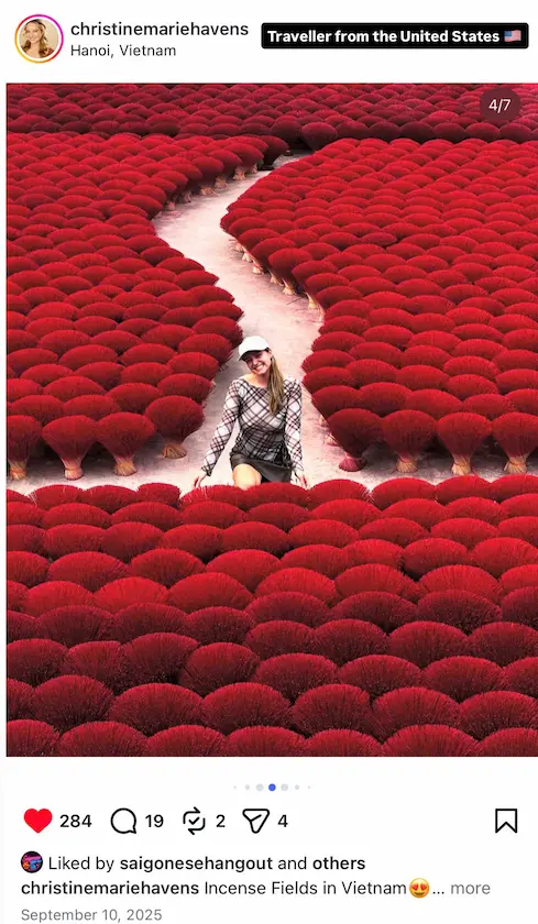 Guest testimonial screenshot 8